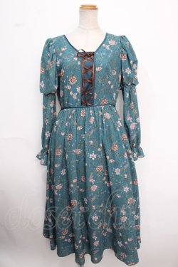 画像1: axes femme Nostalgic / ボタニカル柄レースアップワンピース M グリーン Y-25-02-16-181-LO-OP-SZ-ZI