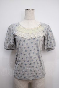 Emily Temple cute / ローズプリントカットソー  グレー Y-25-02-27-081-ET-TO-SZ-ZY