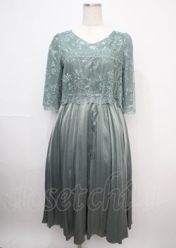 画像1: axes femme / チュール刺繍×プリーツドレス F グリーン Y-25-03-07-083-AX-OP-SZ-ZS