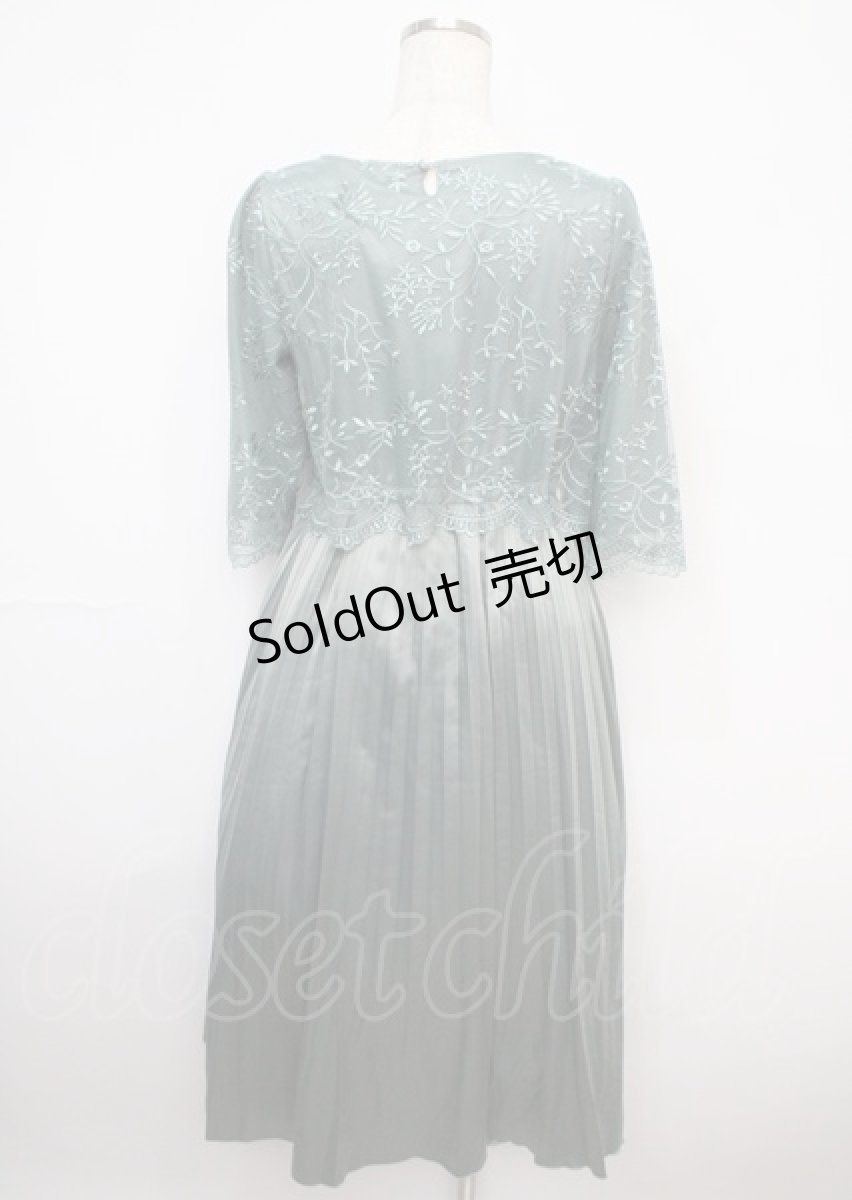 画像2: 【SALE】axes femme / チュール刺繍×プリーツドレス F グリーン Y-25-03-07-083-AX-OP-SZ-ZT509 (2)