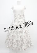 Victorian maiden / アンティークロココブーケエプロンドレス  ブラウン Y-25-03-11-043-CL-OP-SZ-ZY