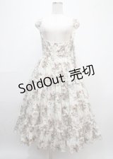 Victorian maiden / アンティークロココブーケエプロンドレス  ブラウン Y-25-03-11-043-CL-OP-SZ-ZY