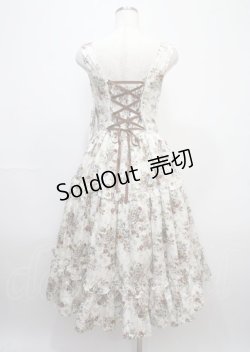 画像2: Victorian maiden / アンティークロココブーケエプロンドレス  ブラウン Y-25-03-11-043-CL-OP-SZ-ZY