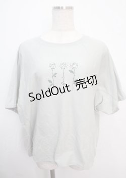 画像1: axes femme / 吸水速乾プリントドルマンT F ミント Y-25-03-14-026-AX-TO-SZ-OS