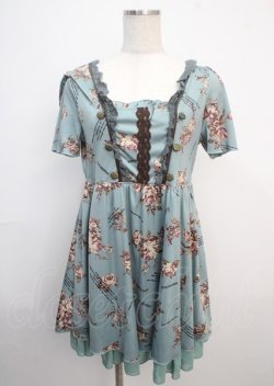 画像1: axes femme / 薔薇柄ワンピース M Bグリーン Y-25-03-20-079-AX-OP-SZ-ZI