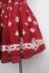 画像3: Ank Rouge / 薔薇ptスカート M ワイン Y-25-03-21-156-CA-SK-SZ-ZY (3)