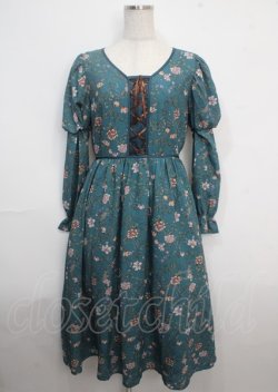 画像1: axes femme Nostalgic / ボタニカル柄レースアップワンピース M Bグリーン Y-25-03-22-069-LO-OP-SZ-OS