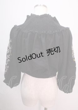 画像2: axes femme NOSTALGIE / 袖刺繍入りブラウス M 黒 Y-25-04-01-103-AX-BL-SZ-ZI