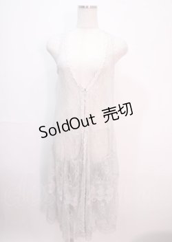 画像1: axes femme / 総レースロングジレ M グレー Y-25-04-01-108-AX-TO-SZ-ZY