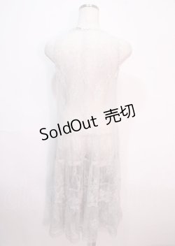 画像2: axes femme / 総レースロングジレ M グレー Y-25-04-01-108-AX-TO-SZ-ZY