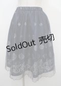 axes femme / スカート   Y-25-04-03-172-AX-SK-SZ-ZI