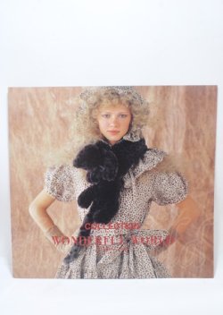 画像1: WONDERFUL WORLD / カタログ   Y-25-04-11-031-LO-ZA-SZ-ZT-K009