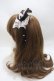 画像2: Angelic Pretty / MELODY TOYSジャンパースカートSetのカチューシャ  黒 Y-25-04-15-013-AP-AC-SZ-ZY (2)