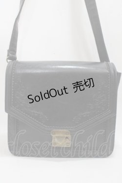 画像1: axes femme / 2WAYファーバッグ  黒 Y-25-04-17-071-AX-BG-SZ-ZY