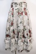 axes femme / 20th/ローズ柄スカート  キナリ Y-25-04-21-135-AX-SK-SZ-ZY