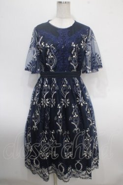 画像1: axes femme NOSTALGIE / チュール刺繍ワンピース M 紺 Y-25-04-26-064-AX-OP-SZ-ZY