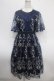 画像1: axes femme NOSTALGIE / チュール刺繍ワンピース M 紺 Y-25-04-26-064-AX-OP-SZ-ZY (1)