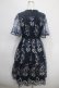 画像2: axes femme NOSTALGIE / チュール刺繍ワンピース M 紺 Y-25-04-26-064-AX-OP-SZ-ZY (2)