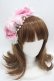 画像1: Angelic Pretty / エレガントローズカチューシャ  ピンク Y-25-05-08-070-AP-AC-SZ-ZY (1)