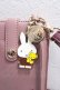 画像3: axes femme / miffy スマホショルダー  ピンク Y-25-05-14-015-AX-ZA-SZ-ZY (3)