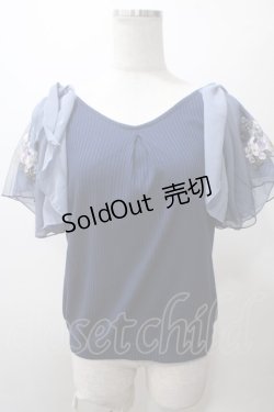 画像1: axes femme / チュール刺繍フレア袖リブプルオーバー M 紺 Y-25-05-19-015-AX-TO-SZ-ZY