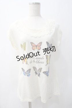 画像1: axes femme / トップス   Y-25-05-22-017-AX-TO-SZ-ZY