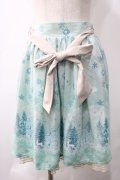 axes femme POETIQUE / 刺繍入り雪柄ミドルスカート M グリーン Y-25-05-22-211-AX-SK-SZ-ZY