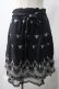 画像1: axes femme / スカート   Y-25-05-22-243-AX-SK-SZ-ZY (1)