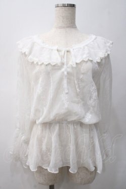 画像1: axes femme / バラ刺繍シースルーブラウス M 白 Y-25-05-22-032-AX-BL-SZ-ZY