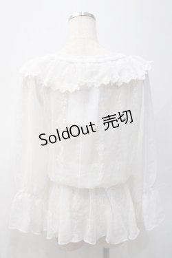 画像2: axes femme / バラ刺繍シースルーブラウス M 白 Y-25-05-22-032-AX-BL-SZ-ZI