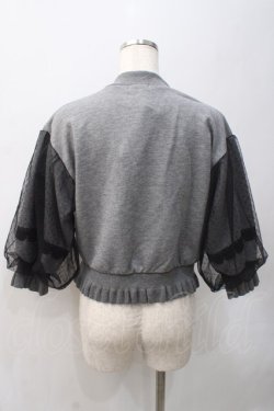 画像2: axes femme POETIQUE / チュールスリーブスウェット M グレー Y-25-05-22-042-AX-TO-SZ-ZY