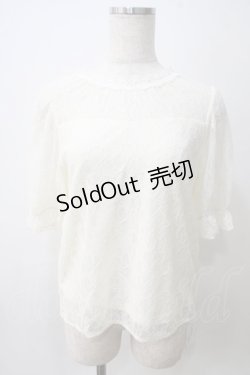 画像1: axes femme / 総レースプルオーバー  キナリ Y-25-05-25-079-AX-TO-SZ-ZY