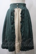 axes femme kawaii / ロココスカート M グリーン Y-25-05-29-074-AX-SK-SZ-ZY