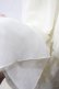 画像3: ATELIER PIERROT / Four-Tiered Ruffle Chiffon Skirt  アイボリー Y-25-06-01-179-EL-SK-SZ-ZY (3)