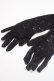 画像1: GOTH / レース手袋  黒 Y-25-06-03-007-GO-ZA-SZ-ZY (1)