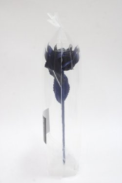 画像2: ATELIER PIERROT / Gothic Corset Skirt Rose アーティフィシャルフラワー  ネイビー Y-25-06-06-011-EL-ZA-SZ-ZY