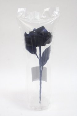 画像3: ATELIER PIERROT / Gothic Corset Skirt Rose アーティフィシャルフラワー  ネイビー Y-25-06-06-011-EL-ZA-SZ-ZY
