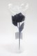 画像3: ATELIER PIERROT / Gothic Corset Skirt Rose アーティフィシャルフラワー  ネイビー Y-25-06-06-011-EL-ZA-SZ-ZY (3)