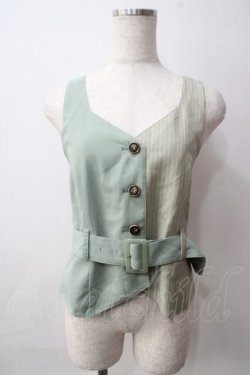 画像1: axes femme POETIQUE / ベルト付バイカラーベスト M グリーン Y-25-06-12-035-AX-TO-OW-ZY