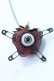画像1: MONSTER BERRY / モンスターベリーネックレス   Y-25-06-18-003-PU-AC-SZ-ZY (1)