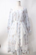 axes femme / ラッフルフリルレース花柄ワンピース  サックス Y-25-06-20-096-AX-OP-SZ-ZY