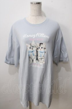 画像1: Honey Cinnamon / twins kitten Tシャツ F サックス Y-25-06-28-072-LO-TO-SZ-ZY