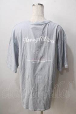 画像2: Honey Cinnamon / twins kitten Tシャツ F サックス Y-25-06-28-072-LO-TO-SZ-ZY