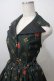 画像3: ATELIER PIERROT / Royal Crownベストワンピース  グリーン Y-25-06-28-103-EL-OP-SZ-ZY (3)