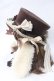 画像2: ALICE and the PIRATES / 時計うさぎのロップイヤーシルクハット  ブラウン Y-25-06-28-028-PA-AC-SZ-ZY (2)