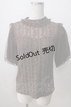 画像1: axes femme POETIQUE / ビスチェ風レース切替トップス  ブラウン Y-25-07-01-058-AX-TO-SZ-ZY