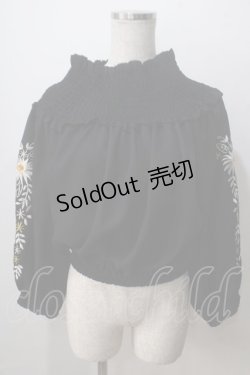 画像1: axes femme NOSTALGIE / 袖刺繍入りブラウス  黒 Y-25-07-01-067-AX-BL-SZ-ZI