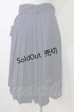 画像2: F i.n.t / 太ベルト付きプリーツスカート F ネイビー Y-25-07-01-112-CA-SK-SZ-ZT452