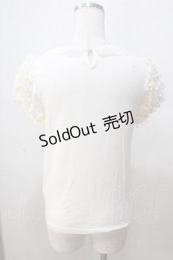画像2: Secret Honey / チュールモチーフトップス  オフ Y-25-07-03-010-CA-TO-AS-ZY