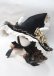 画像10: Bramble Rose / THE WITCH フルセット L イエロー Y-25-07-06-052-LO-OP-SZ-ZY